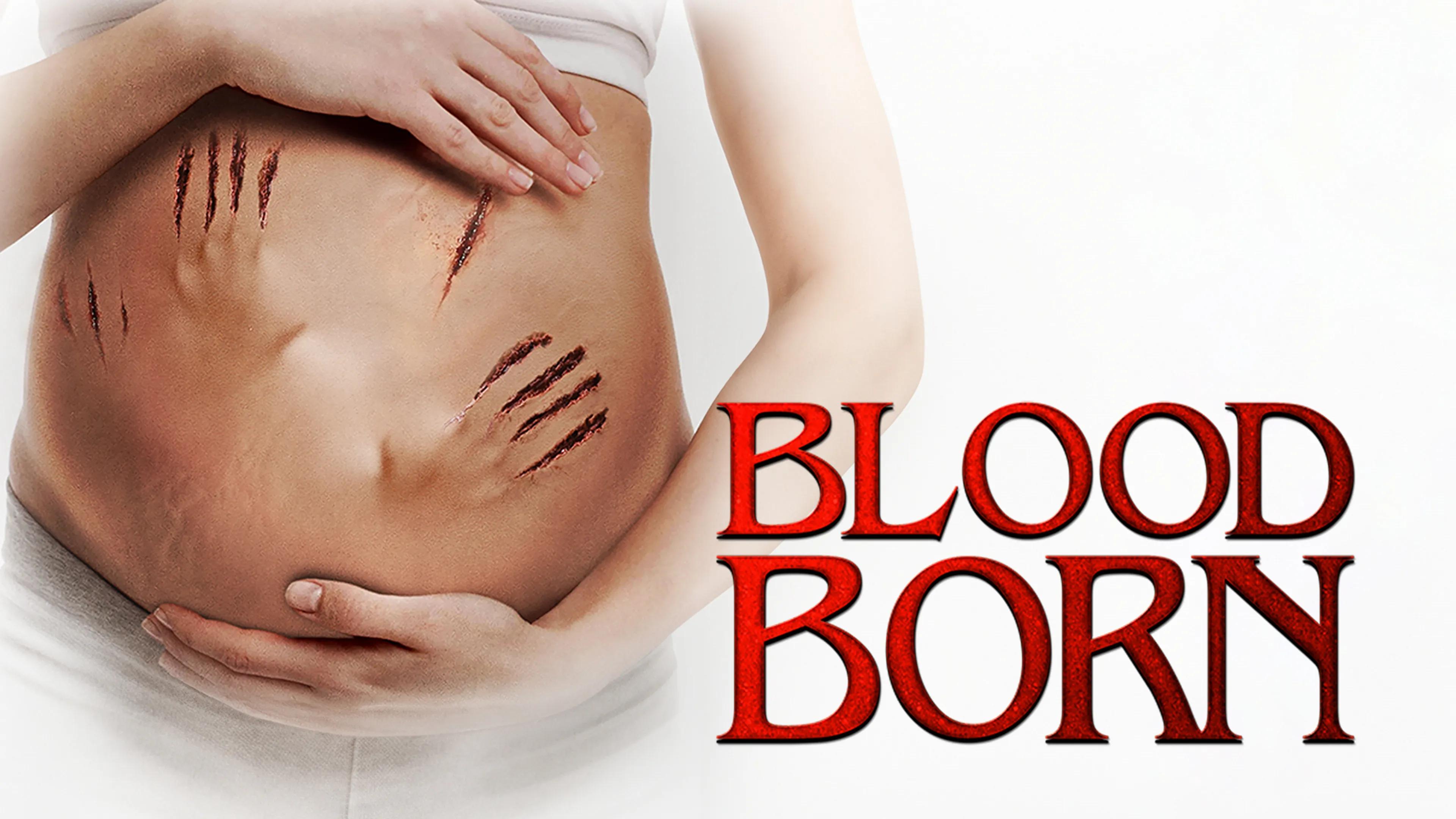 Blood Born poster